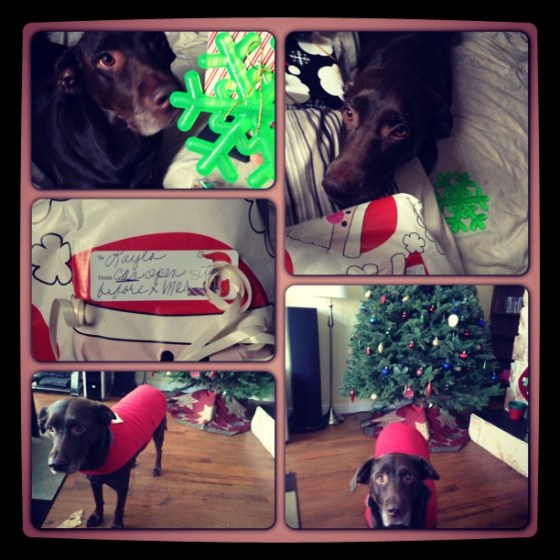 12.7 layla christmas