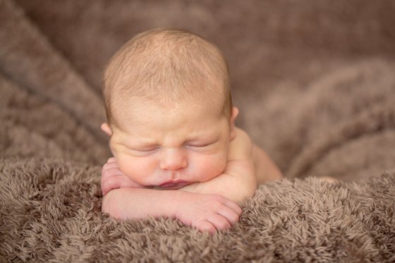 View More: http://whitneycowanphotography.pass.us/newbornwesley