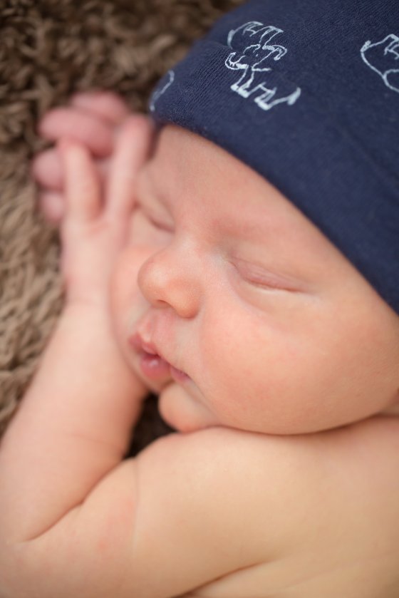 View More: http://whitneycowanphotography.pass.us/newbornwesley